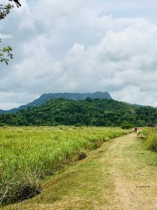 EL YUNQUE OF BARACOA