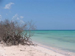 Cayo Jutía, Pinar del Rio - 2008