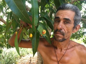 Guardián del caracol pintado cubano