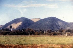 La tala de árboles en los bosques nacionales "protegidos" de Cuba - julio de 1997