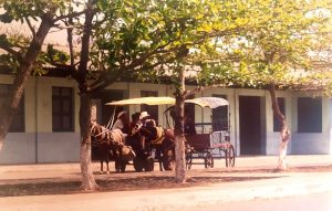 “Cuban horse-drawn taxi”