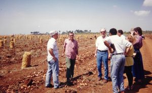 UF-IFAS and University of Havana faculty in the field