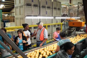 Cuban research scientists tour citrus packing house in Florida