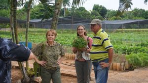 Professors Haman and Palm at Organopónico outside Havana