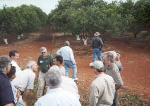 Florida citrus industry representatives tour Cuban citrus grove