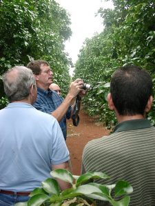 UF-IFAS faculty tour Cuban citrus grove