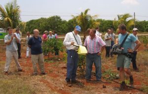 UF-IFAS faculty and students meet with citrus farm workers